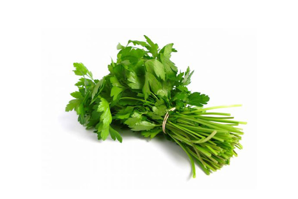 Coriander Bunch (Dhaniya)