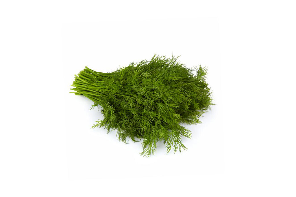 Dill Bunch