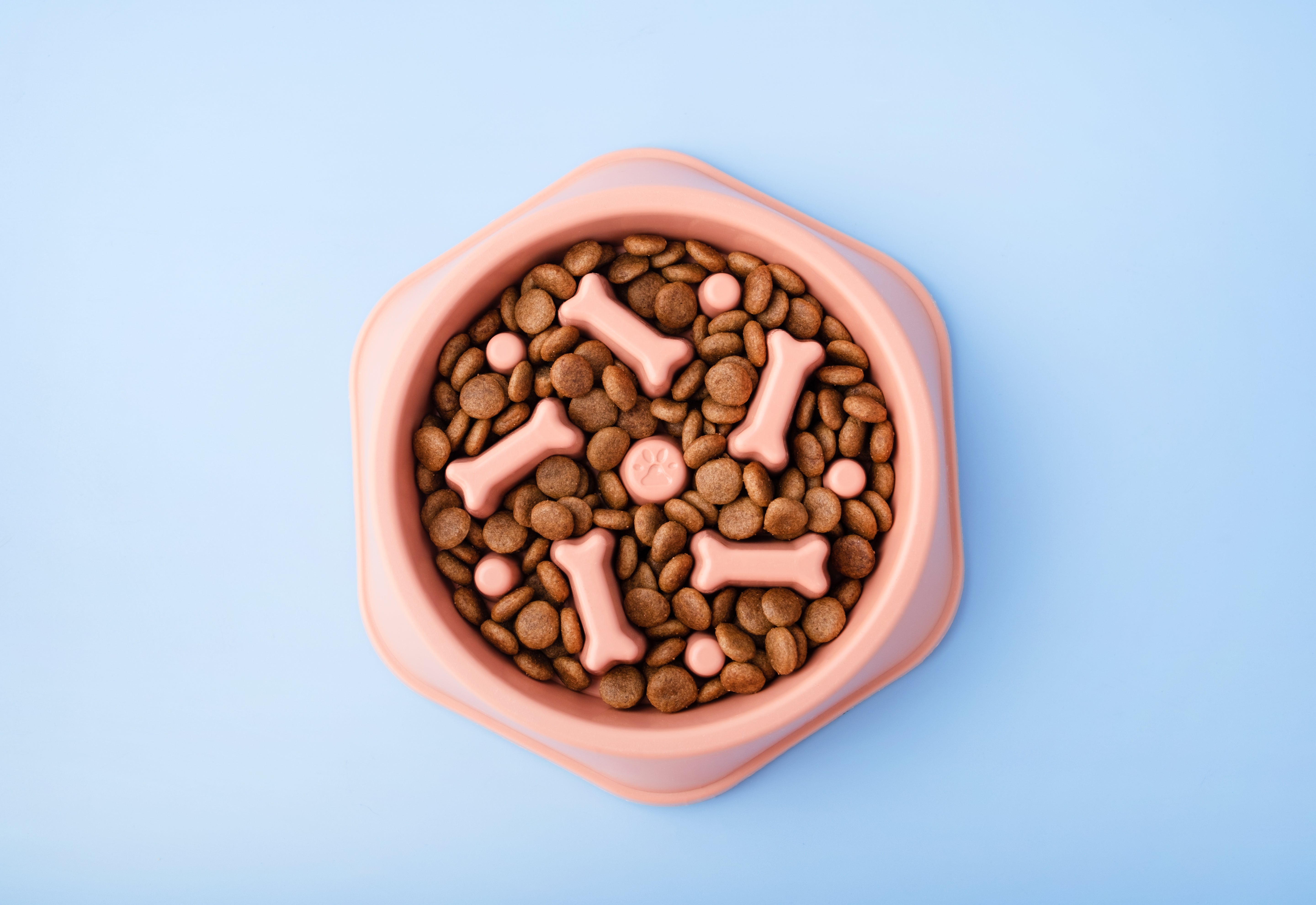 Pet Food