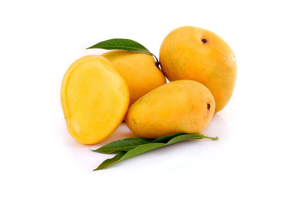 Sindhri Mango x 4